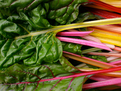 Foto de Acelga Arcoiris 