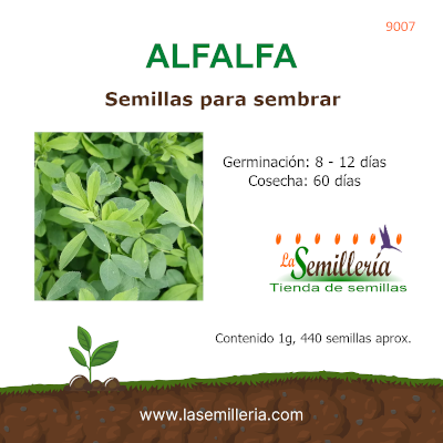 Foto de Sobre de Semillas de Alfalfa