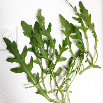 Foto de Semillas de Arugula Wild Rocket