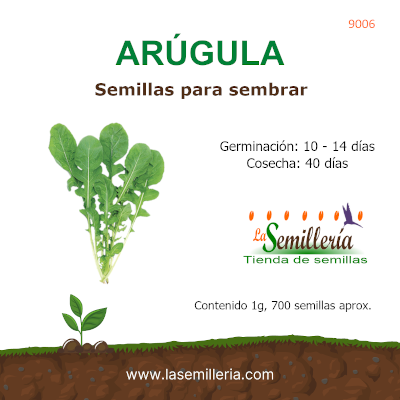 Foto de Sobre de Arugula