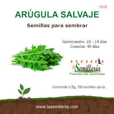 Foto de Sobre de Semillas de Arugula Salvaje