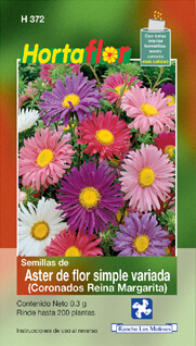 Foto de Aster de Flor Simple HORTAFLOR