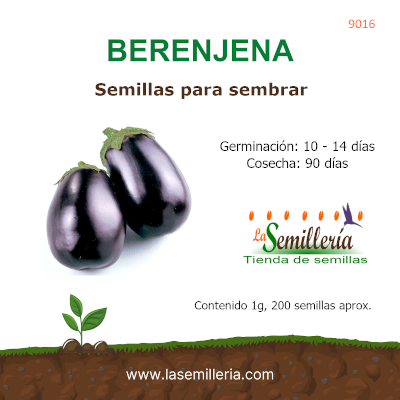 Foto de Sobre de Semillas de Berenjena