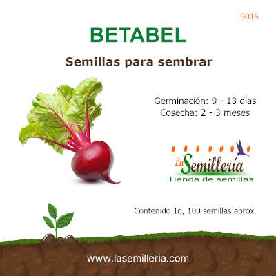 Foto de Sobre de Semillas de Betabel