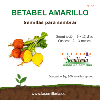 Foto de Sobre de Semillas de Betabel Amarillo