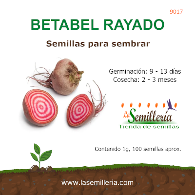 Foto de Sobre de Semillas de Betabel Rayado