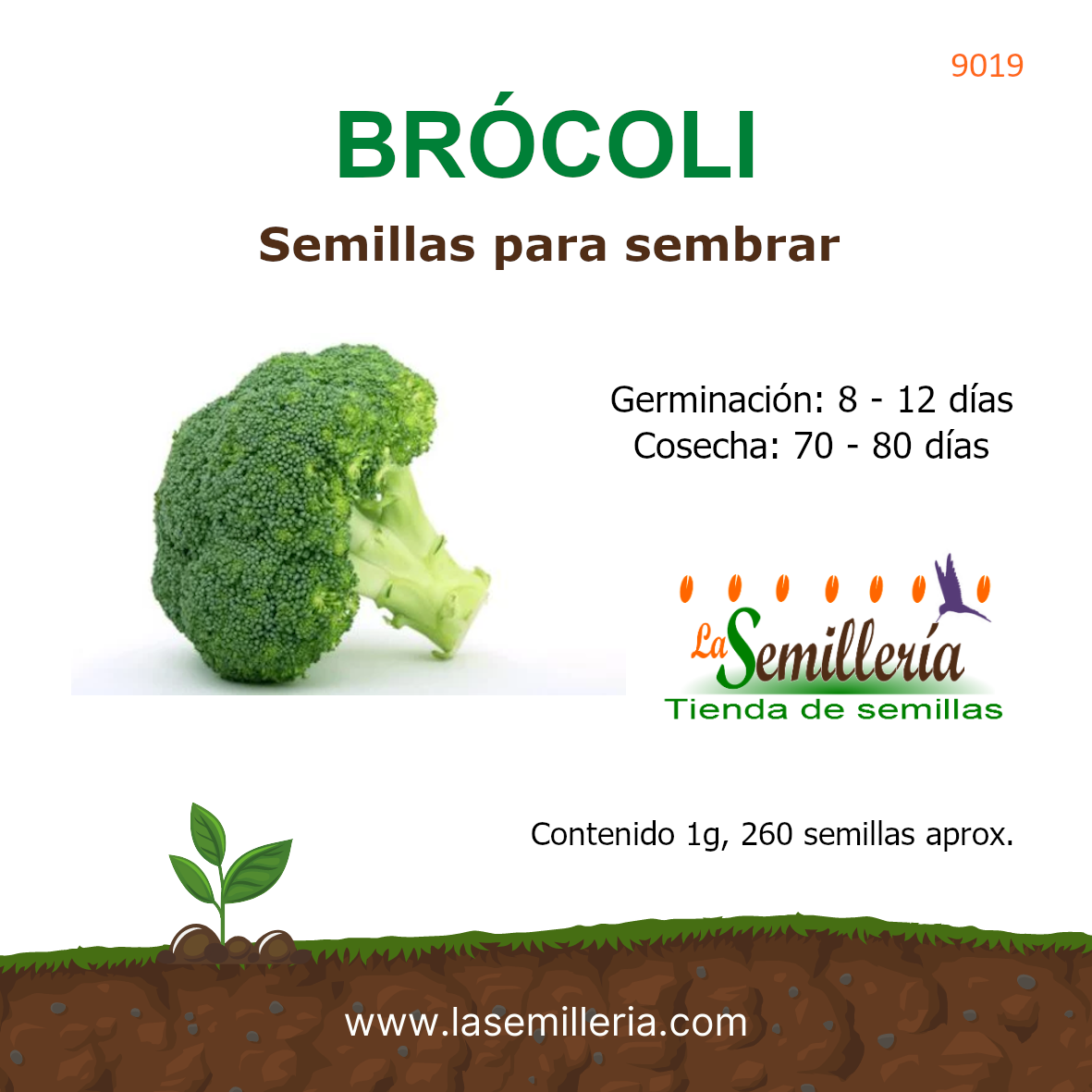 Foto de Sobre de Brócoli