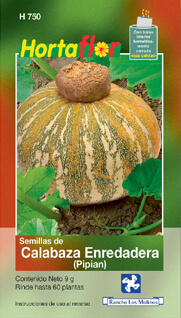 Foto de Semillas de Calabaza Pipian HORTAFLOR