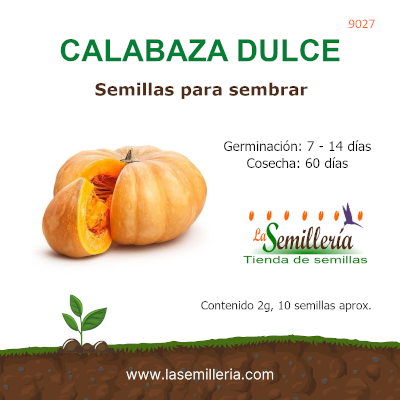 Foto de Sobre de Semillas de Calabaza Dulce