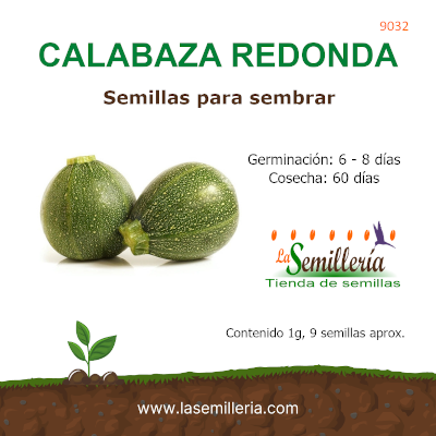 Foto de Sobre de Semillas de Calabaza Redonda