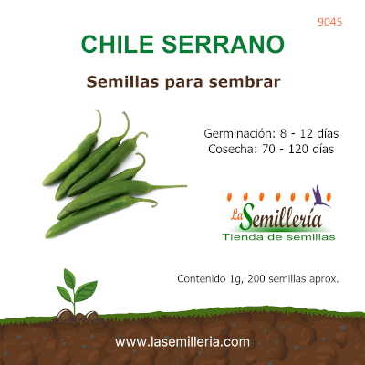 Foto de Sobre de Semillas de Chile Serrano