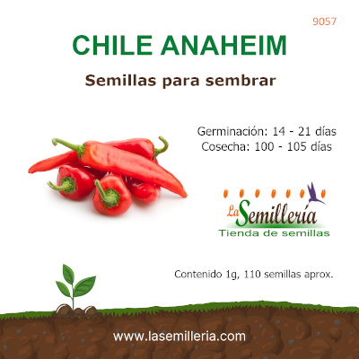 Foto de Sobre de Semillas de Chile Anaheim