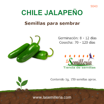 Foto de Sobre de Chile Jalapeño