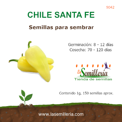 Foto de Sobre de Chile Santa Fe