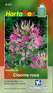 Foto de Semillas de Cleome HORTAFLOR