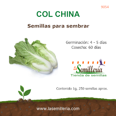 Foto de Sobre de Semillas de Col China