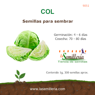 Foto de Sobre de Semillas de Col