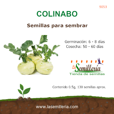 Foto de Sobre de Semillas de Colinabo