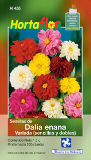 Foto de Semillas de Zinnia Dalia HORTAFLOR