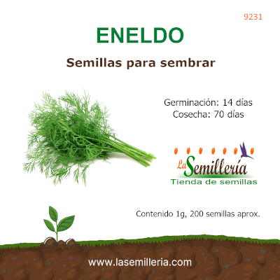 Foto de Sobre de Semillas de Eneldo