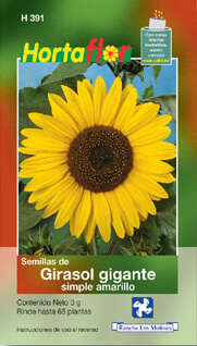 Foto de Girasol Gigante HORTAFLOR