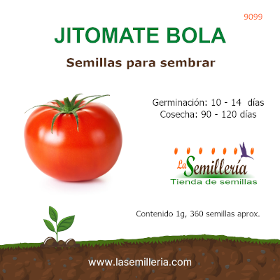 Foto de Sobre de Semillas de Jitomate Bola