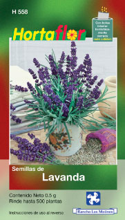 Foto de Lavanda HORTAFLOR