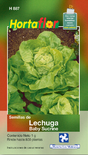 Foto de Lechuga Baby HORTAFLOR