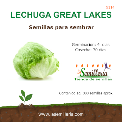 Foto de Sobre de Semillas de Lechuga