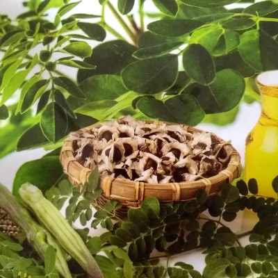 Foto de Semillas de Moringa