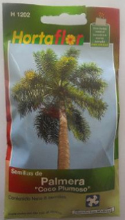 Foto de Semillas de Palmera HORTAFLOR