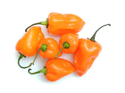 Foto de Chile Habanero Naranja