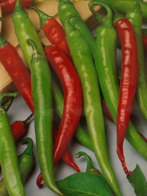 Foto de Semillas de Pimiento de Cayenne 