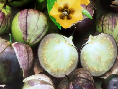 Foto de Semillas de Tomate Morado Plus