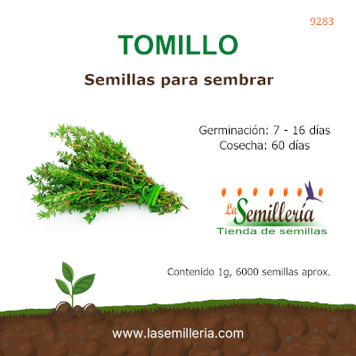 Foto de Sobre de Semillas de Tomillo