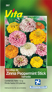 Foto de Semillas de Zinnia Peppermint HORTAFLOR